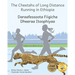 The Cheetahs of Long Distance Running: Legendary Ethiopian Athletes in Afaan Oromo and English