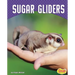 Sugar Gliders