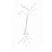WellSpringEternal