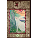 The Wild Witches' Journal