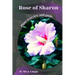 Rose of Sharon: Plant overview and guide