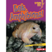 Eek, Amphibians!