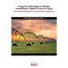 Using Geo-Information to Monitor Groundwater Irrigated Projects in Egypt: Groundwater Management using GIS Web Applications