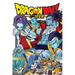 Dragon Ball Super, Vol. 17