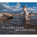 Yellowstone Migrations