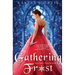 Gathering Frost