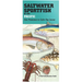 Saltwater Sportfish of the Pacific: San Francisco to Cabo San Lucas