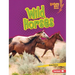 Wild Horses