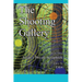 The Shooting Gallery