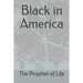 Black in America
