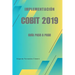 Implementación COBIT 2019: Guía paso a paso