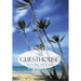 The Guesthouse