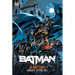 Batman: No Man's Land Omnibus Vol. 1
