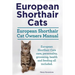 European Shorthair Cats. European Shorthair Cat Owners Manual. European Shorthair Cats care, personality, grooming, health and feeding all included.