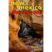 New Mexico Slot Canyons