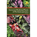 Common Medicinal Plants of Portland, Jamaica