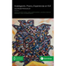 Sobre Investigación, Praxis y Experiencias en ELE: Una Mirada Multicultural