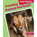 Amazing Animal Partners