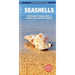 Seashells, 2nd Ed: A Folding Pocket Guide to Familiar North American Species