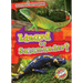 Lizard or Salamander?