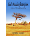God's Amazing Enterprises: A Story of Christianity in Africa