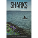 Sharks in Lake Erie