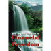 How to Take the Path to Financial Freedom