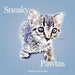 Sneaky Pawtas: An English-Spanish Picture Book