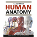 Illustrated Human Anatomy: The Authoritative Visual Guide to the Human Body