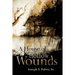 A House of Hollow Wounds