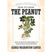 How to Grow the Peanut: And 105 Ways of Preparing It for Human Consumption
