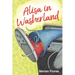 Alisa in Washerland