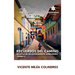 Recuerdos del Camino: Relatos de un expresidente hondureño (Tomo I)