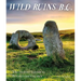 Wild Ruins B.C.: The Explorer's Guide to Britain's Ancient Sites