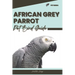African Grey Parrot: Pet bird guide