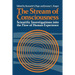 The Stream of Consciousness: Scientific Investigations Into the Flow of Human Experience