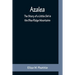 Azalea: The Story of a Little Girl in the Blue Ridge Mountains