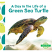 Day in the Life of a Green Sea Turtle