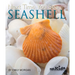 Next Time You See a Seashell