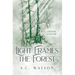 Light Frames the Forest: Prayer and Poetry