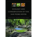 Ecology and Conservation of the San Pedro River