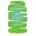 Your Mitochondria: Key to Health and Longevity
