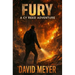 Fury