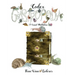 Codex Gastropoda: A Visual Meditation