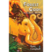 Forest Gods