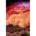 Journeys from a Desert Road