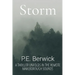 Storm: A thriller unfolds in the remote Marlborough Sounds