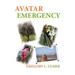 Avatar Emergency