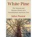 White Pine: The Natural and Human History of a Foundational American Tree