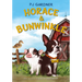 Horace & Bunwinkle
